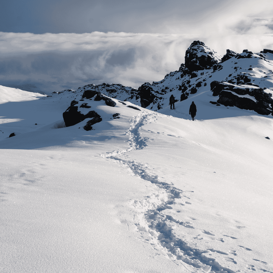 Diverse landscapes