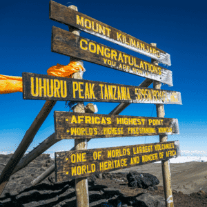 Conquer Kilimanjaro on the Marangu Route, also known as the “Coca-Cola Route,” for its comfortable hut accommodations and stunning scenery. Trek through lush rainforests, alpine deserts and moorlands.