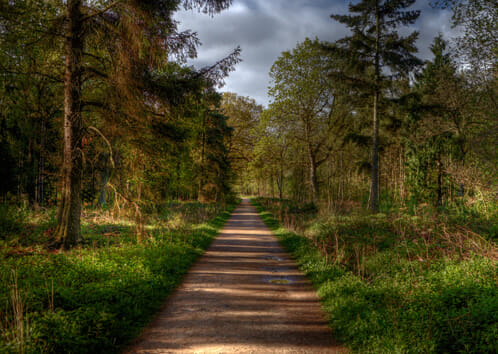 Off-road 10K in preparation for London Landmarks Half Marathon!