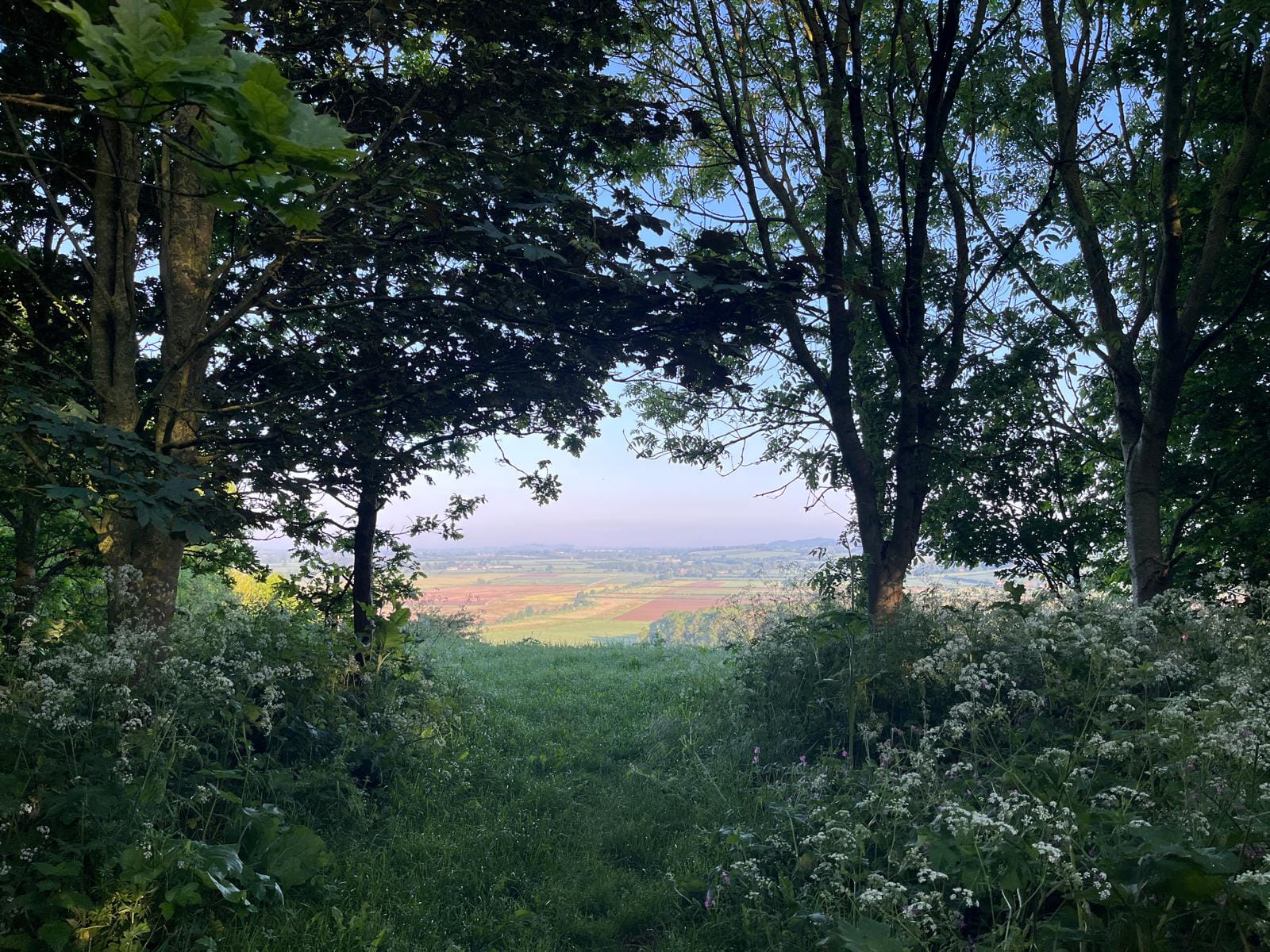 Terrington Circular 16km