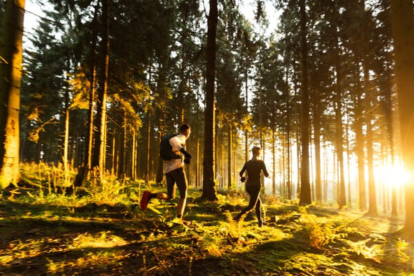 🍂 Autumn 10Ks/half marathons · Early Bird offers