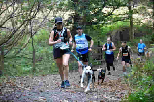 🏞️ Dart Challenge - weekday looped run 🏃🏼