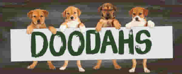 New Event | The Dog's Doodahs