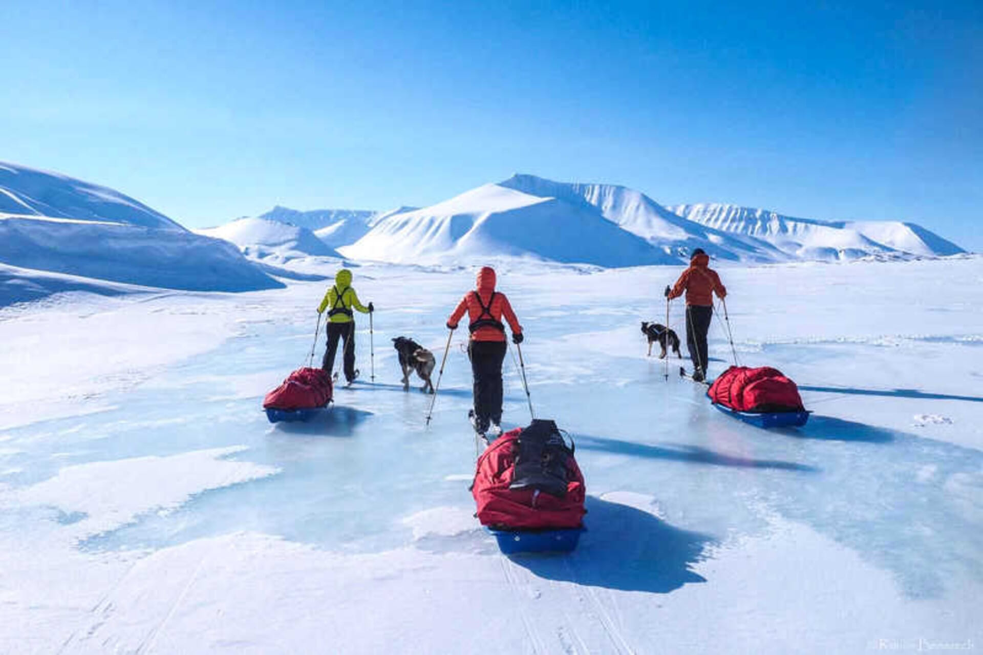 NOVEMBER SALE❗The Five Glaciers ❄️🛶