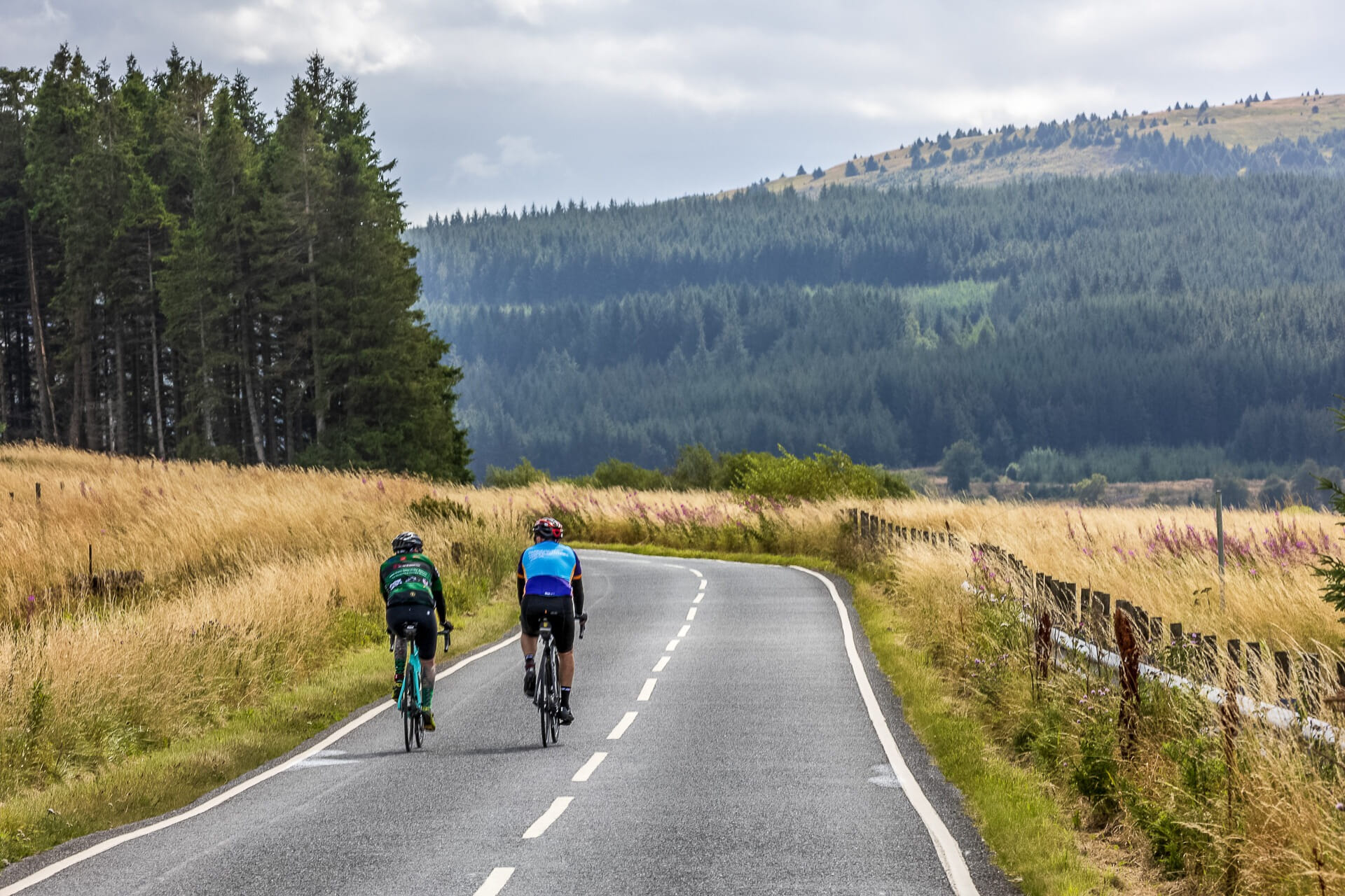 Pedal Trossachs early bird 🌳