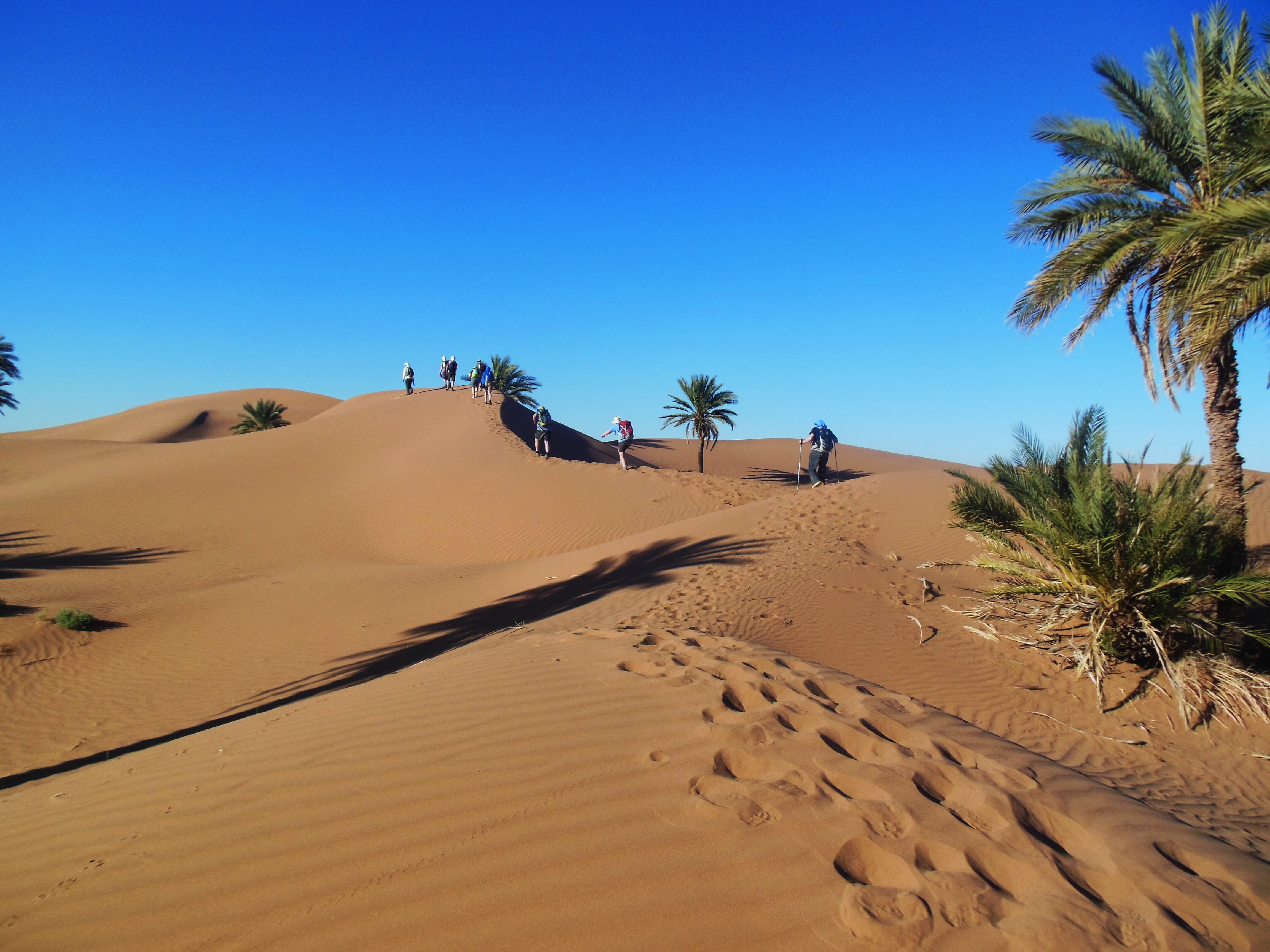 Sahara Desert Trek 🏜️