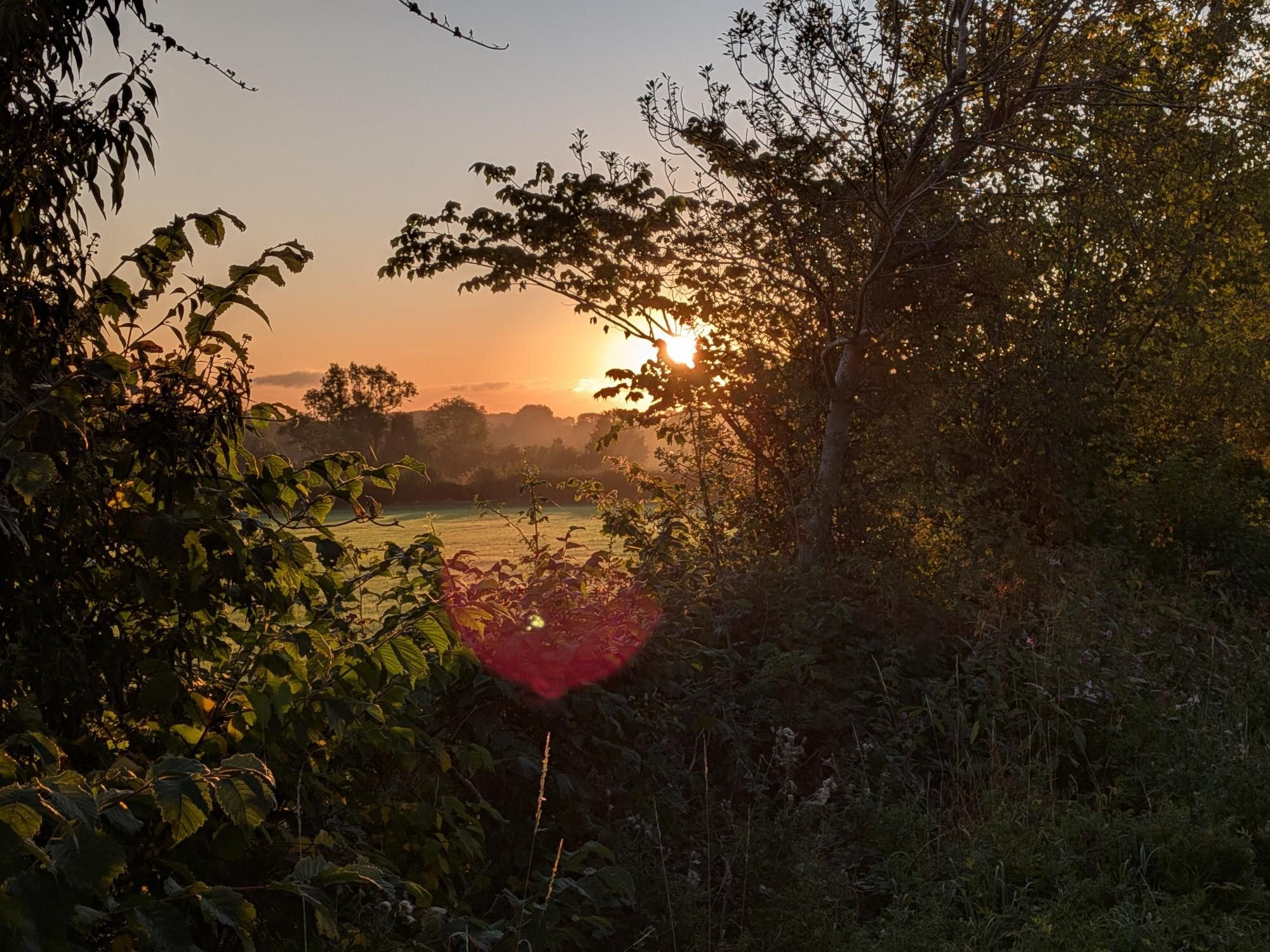 🥾 Lumley Moor at Dawn