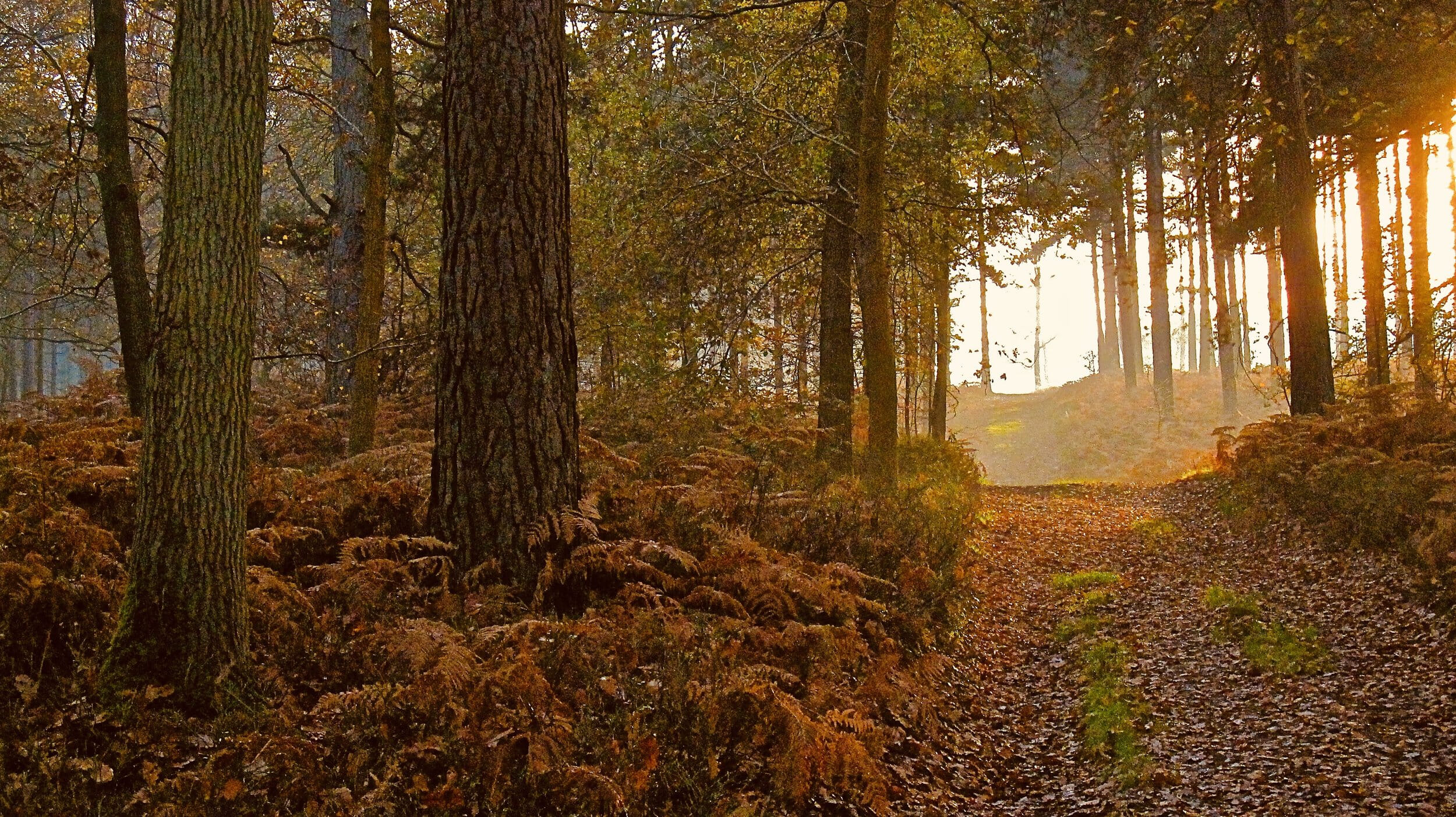 Credit: Sussex Sport Photography