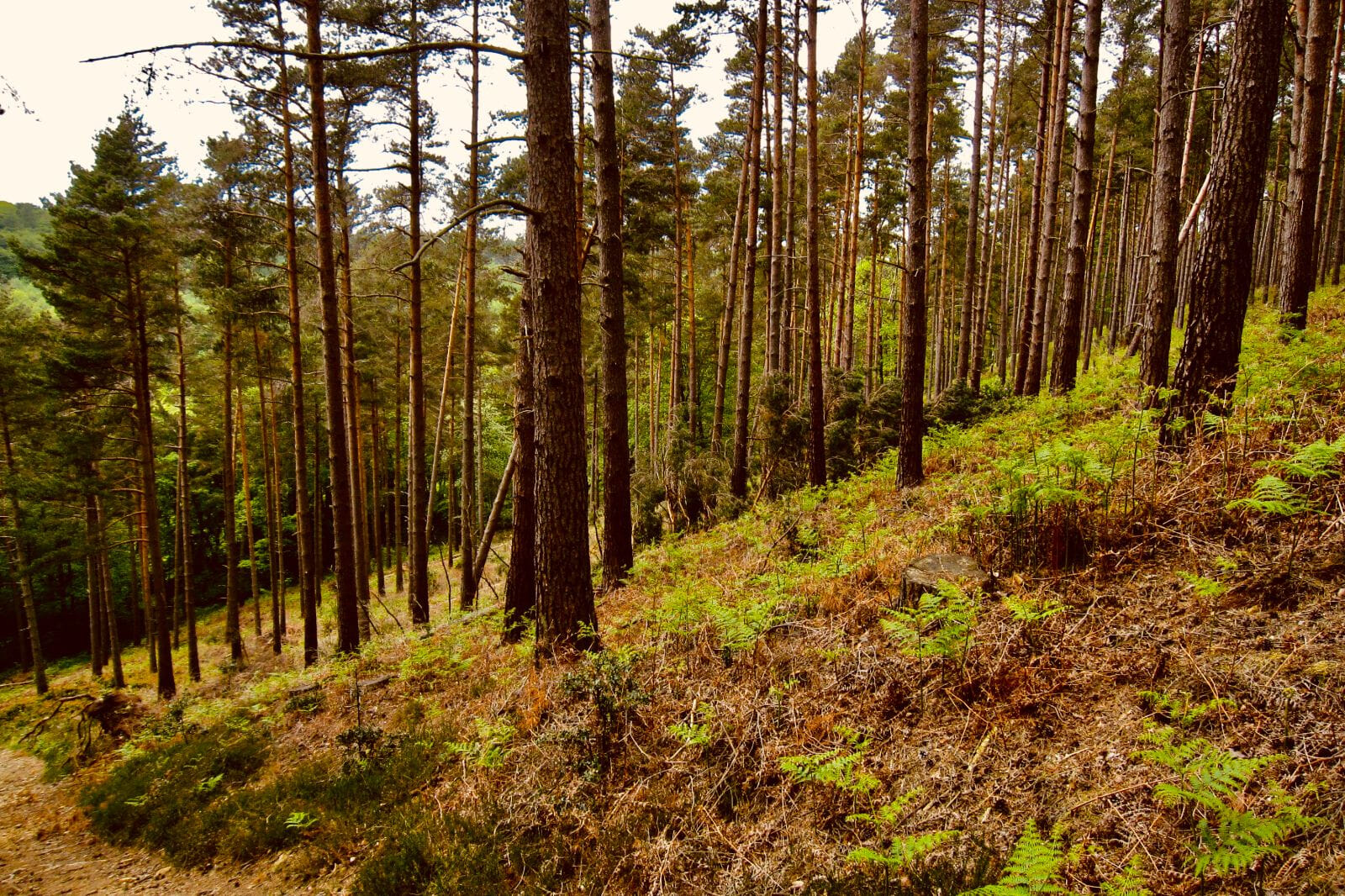 Credit: Sussex Sport Photography