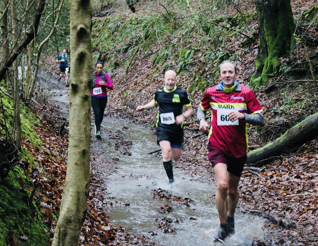 54321762446 79049f79bb b