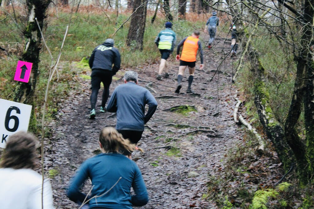 54321715426 909f368c2f b