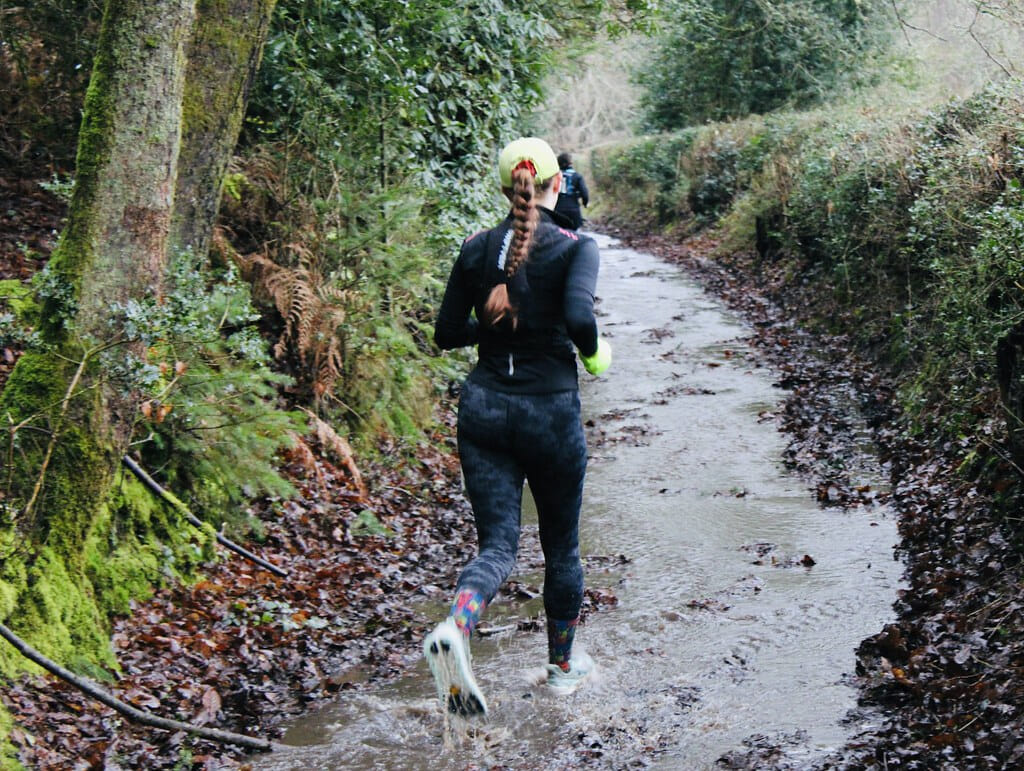 54321766451 515f1719b9 b