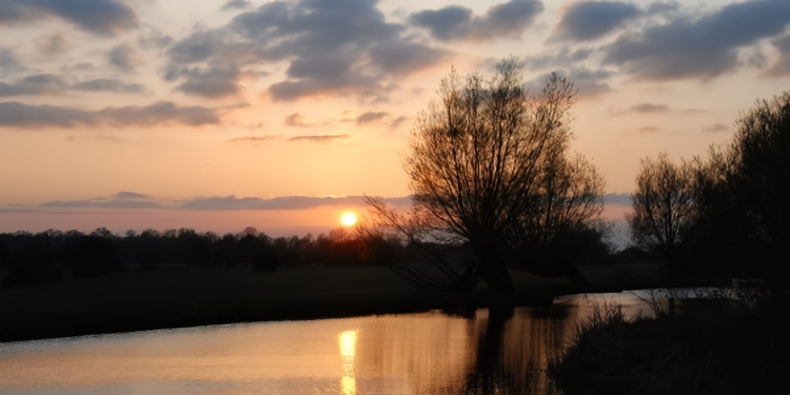 Embark on a historic journey on enchanting Suffolk trails, ancient woodlands, and charming villages, where every step brings adventure, camaraderie, and the thrill of conquering a true ultra.