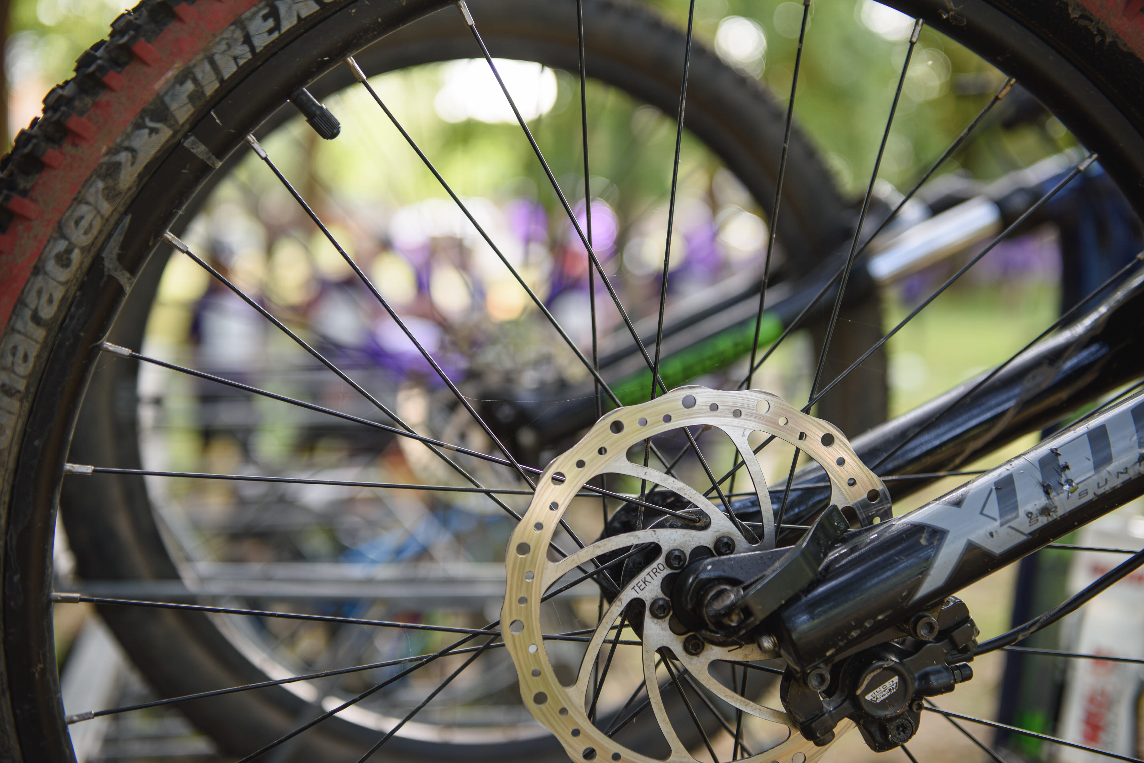 52 (c) David Monteith Hodge   Photographise   please credit   Pedal for Purpose 2023 (DMH 8838)