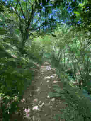 Colden Clough, first climb out of the Calder Valley