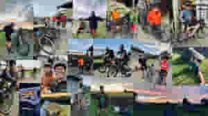 collage