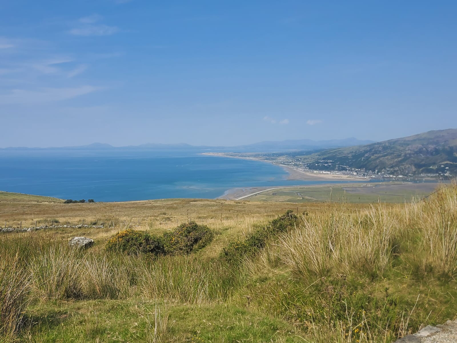 2b44f11b 83e5 4fed a2f2 afbeb184374e 1