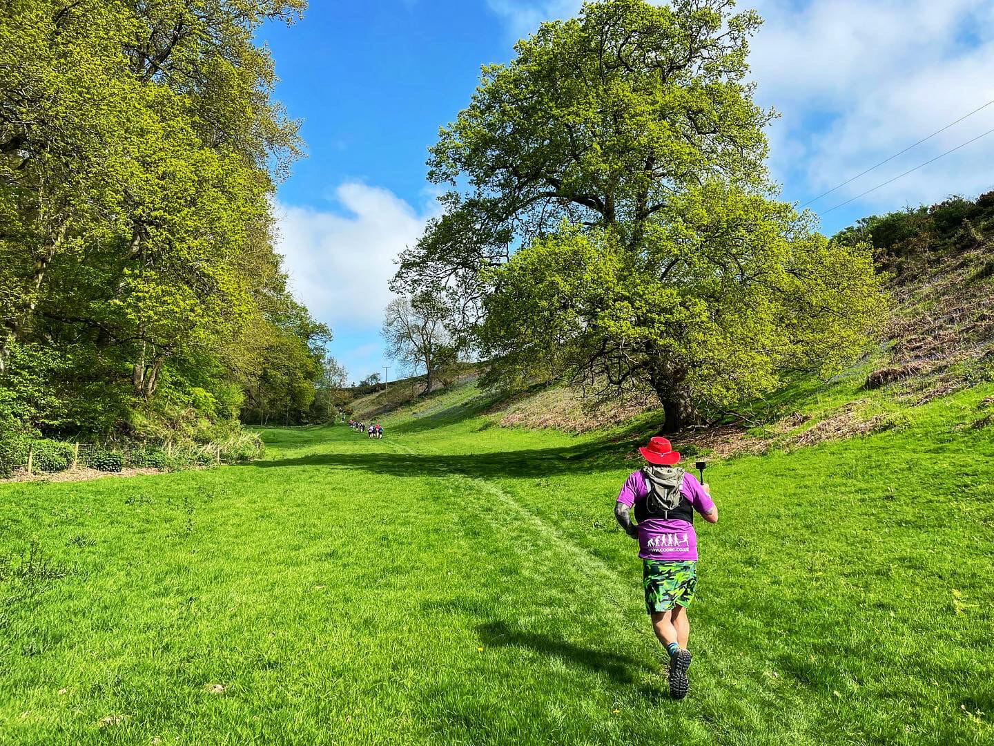 b24634df 90a2 477e a68c 2df7905e399a