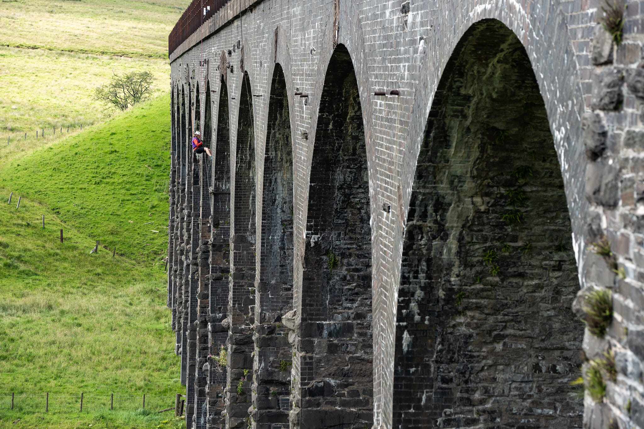 53088689171 d0ba90ccaa k