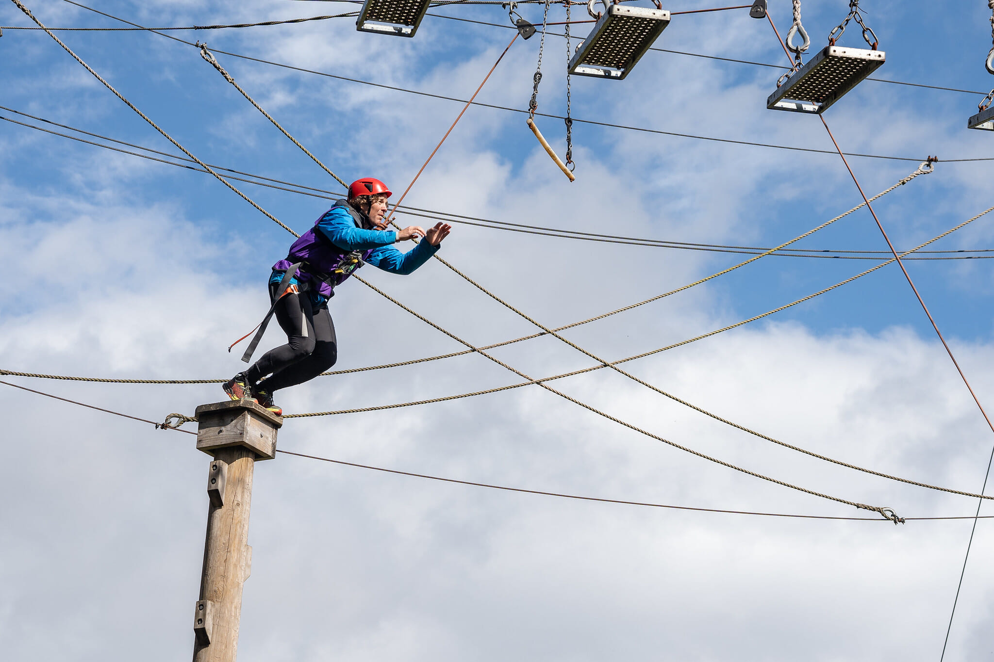 53088078242 8bc6fb581b k