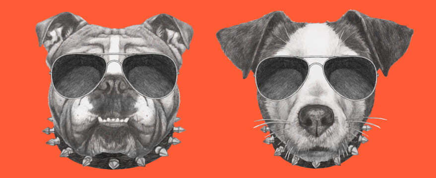 Enjoy a lovely early morning run on a lovely course around two North Yorkshire reservoirs with your dog and earn a medal for yourself and a neckerchief for your dog!