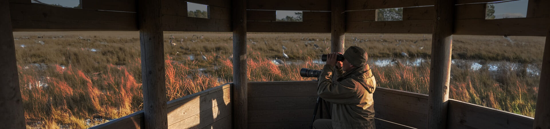 Discover the ultimate trail running experience at Leeds Skelton Lake Services - an unexpected haven for nature lovers.