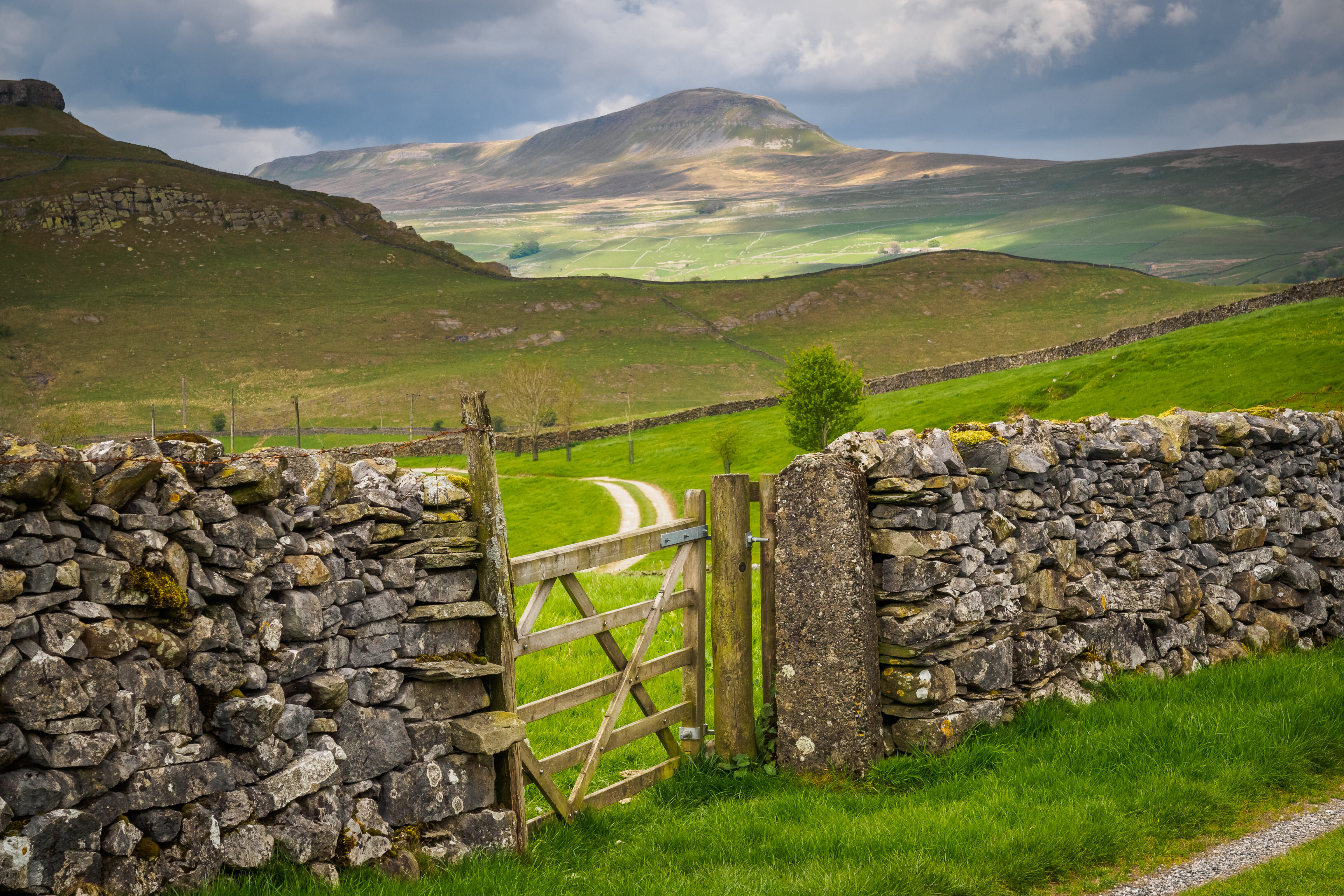 AdobeStock 153024534