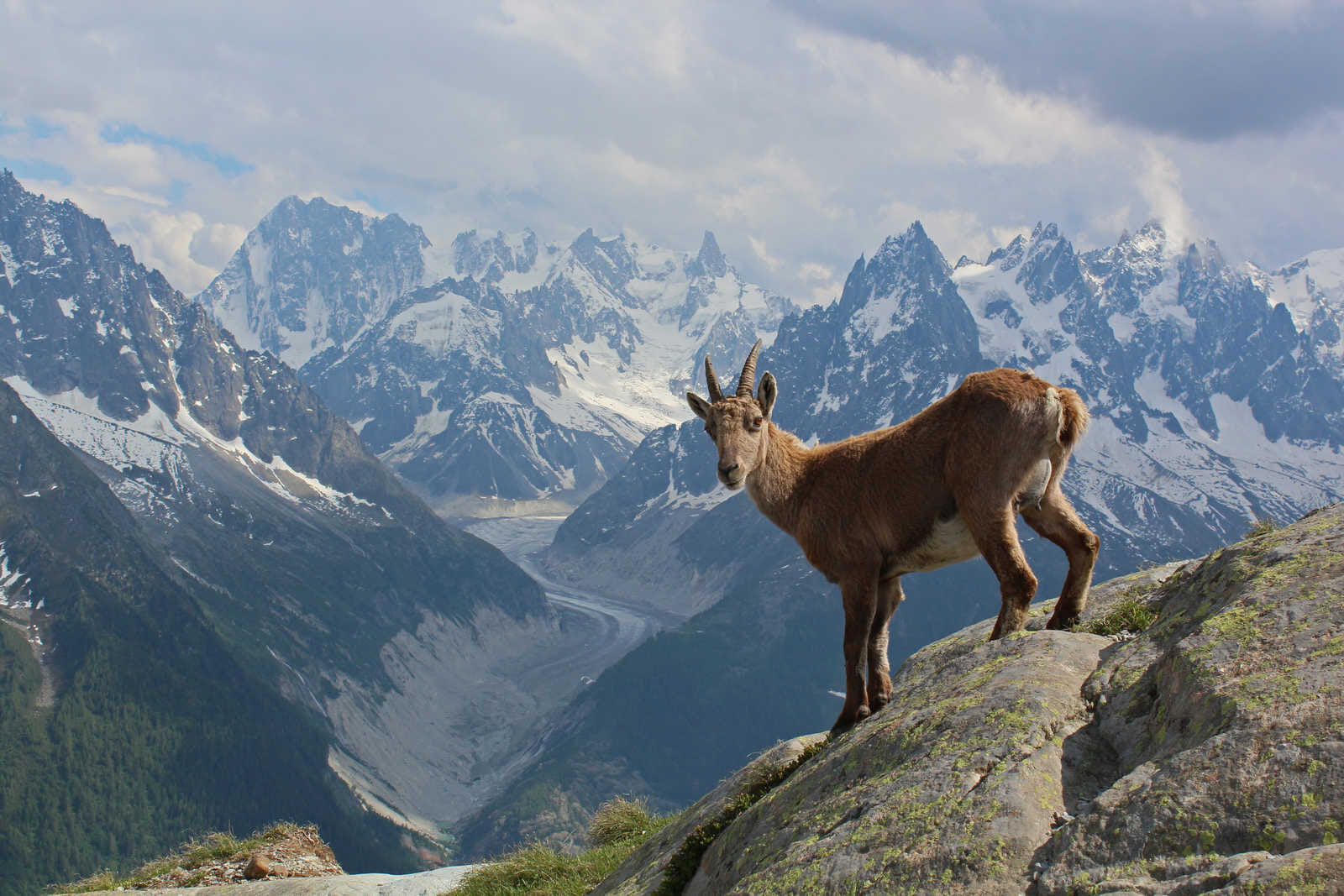 Experience an alpine wonderland on this phenomenal trekking adventure.