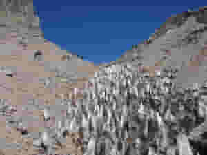 ice cones close to the aconcagua summit 960
