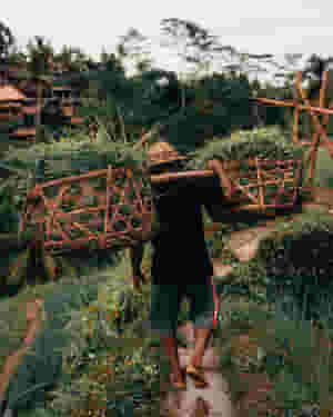 tegalalang rice terrace ubud bali 2103