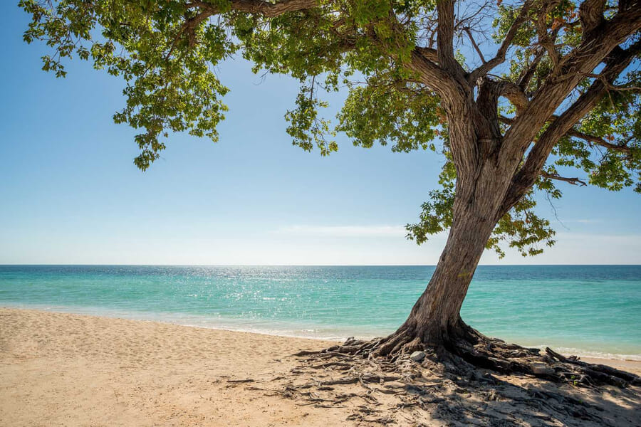 Spend time relaxing on incredible Caribbean beaches.