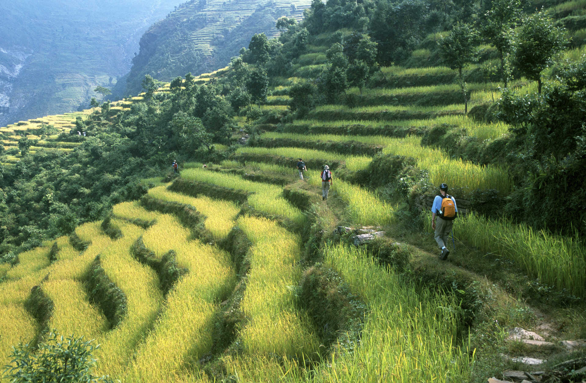 annapurna luxuriant balconies 203