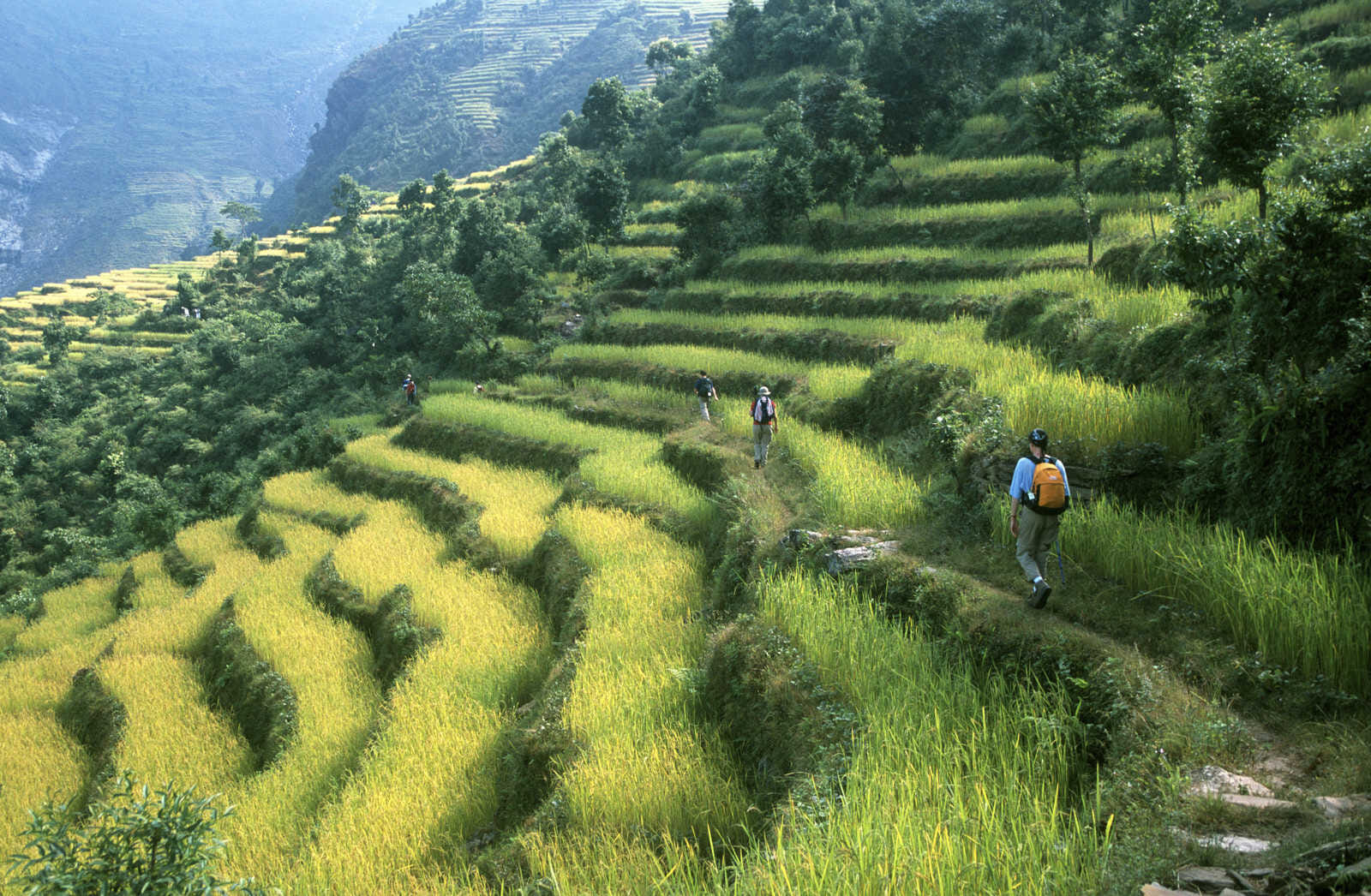 annapurna luxuriant balconies 203