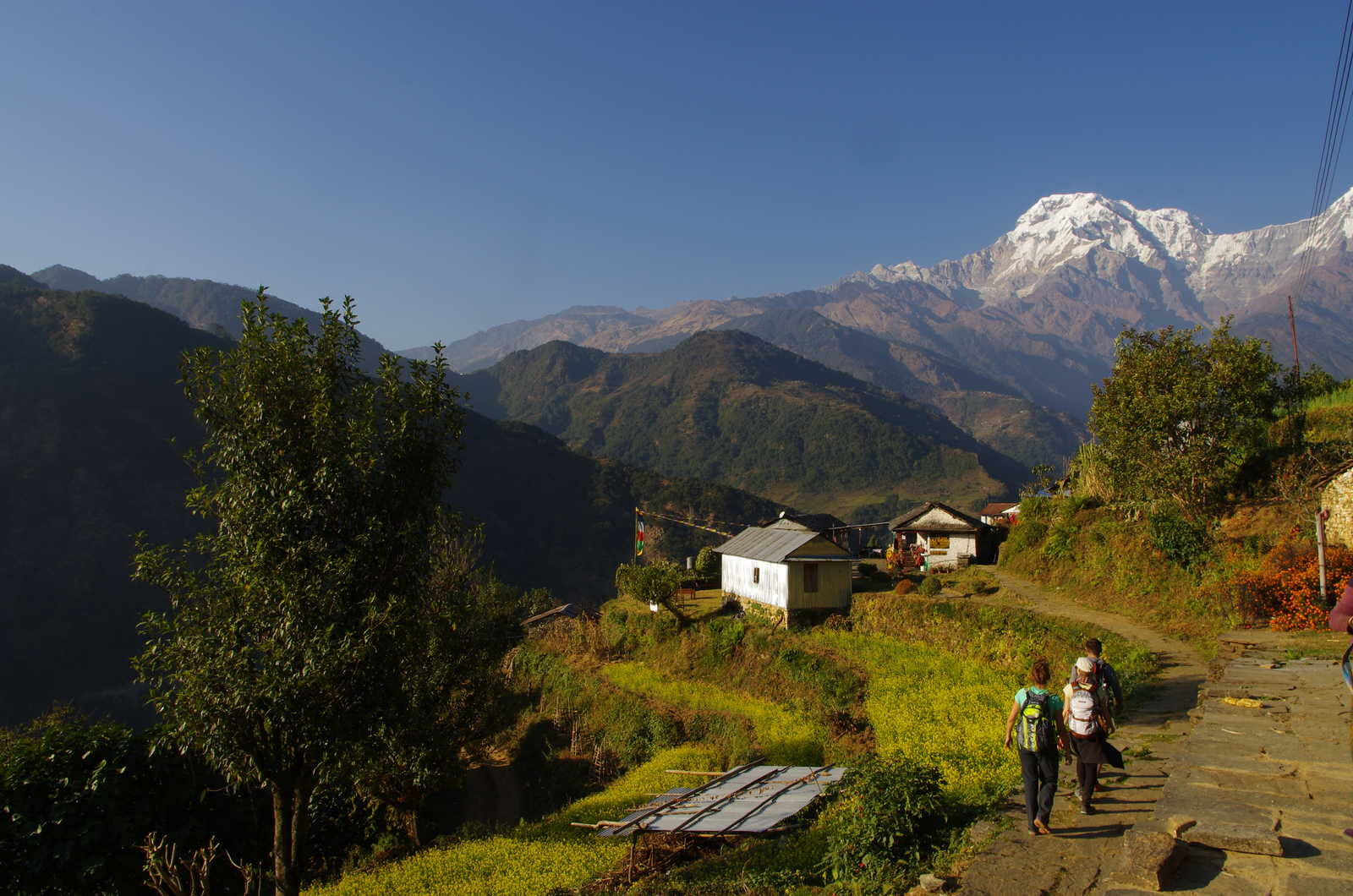 hiking in the annapurna balconies 58