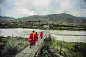 young monks walking on a rope bridge in bhutan 309