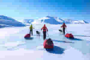 ski pulka on ice floe in svalbard 1130