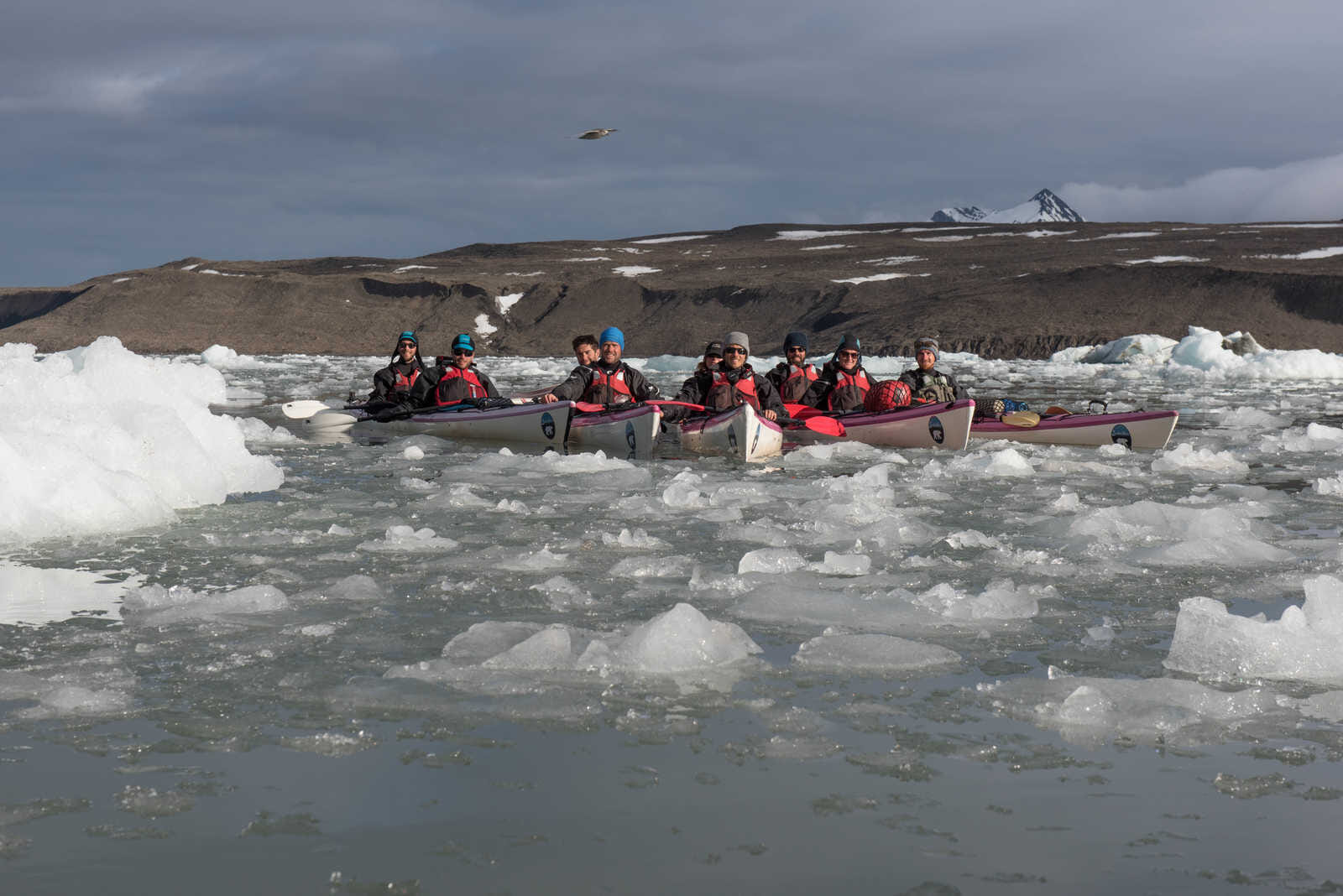 group of kayak among iceberg 1144