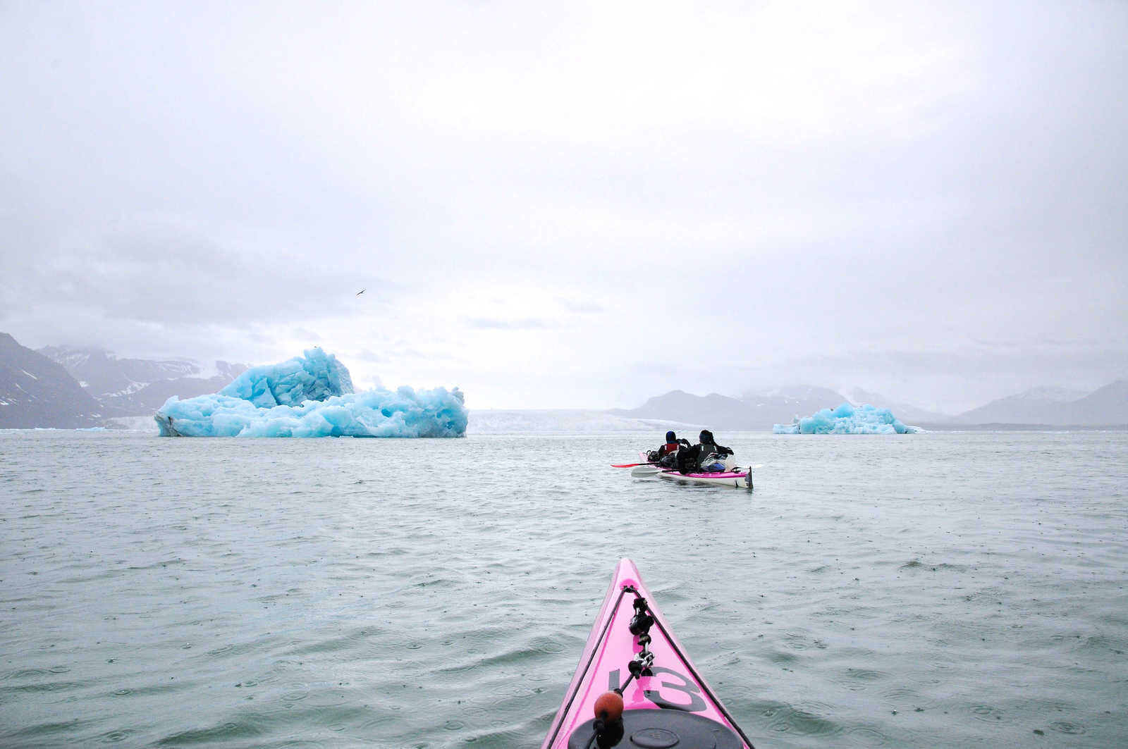 Kayak among icebergs