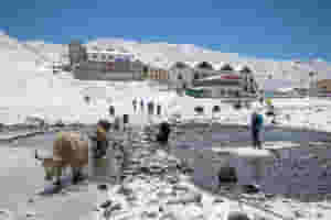 yak herd at snowy himalayan village niculita radu 2796