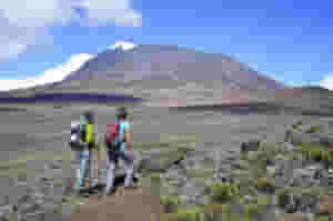 Avoid the crowded southern routes, maximising chances of a successful summit bid, following the Northern Circuit route to the top of Kilimanjaro, on a fully supported, guided trek. 