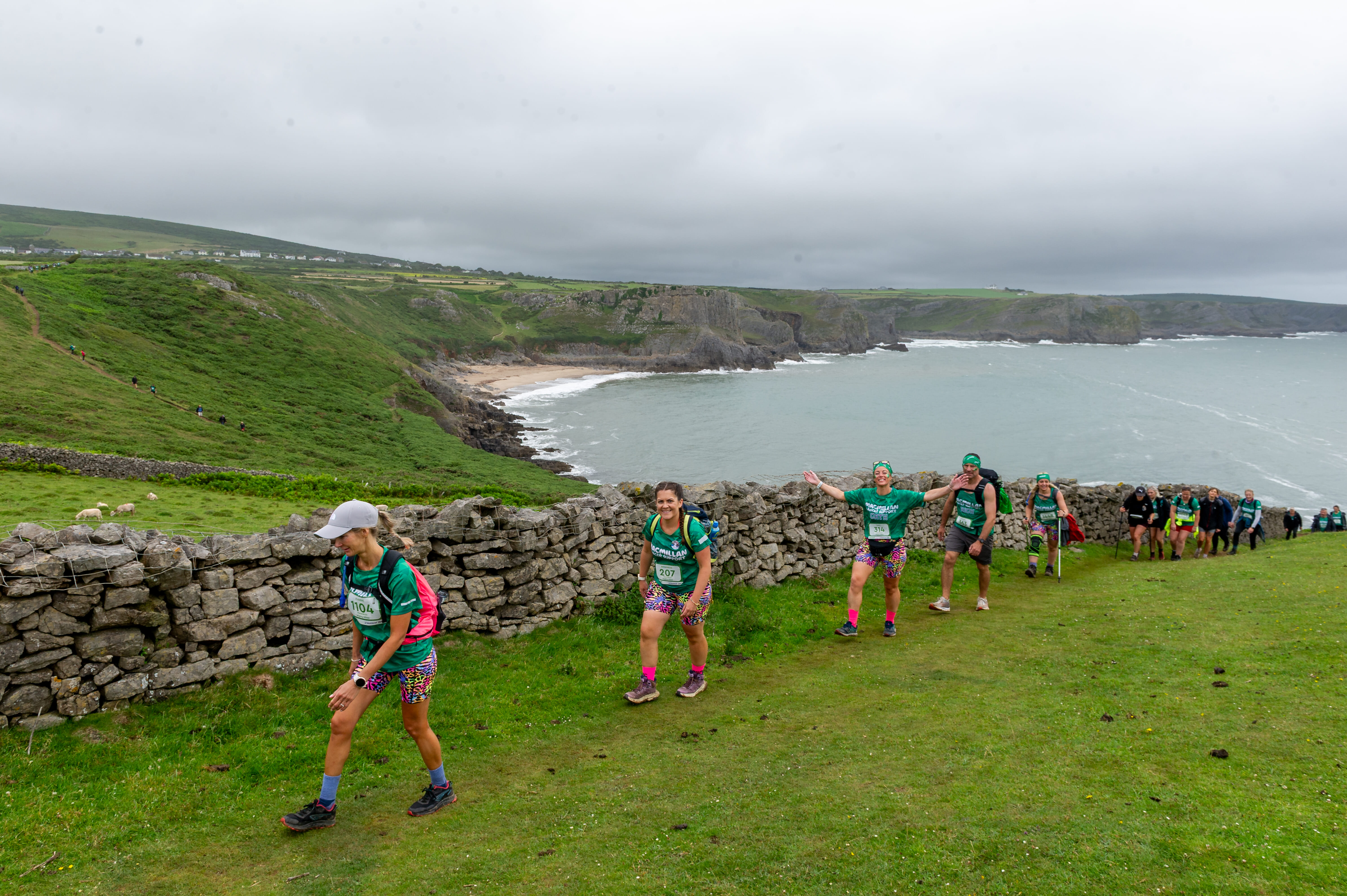Gower 2