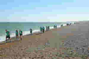 Norfolk 3