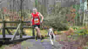canicross trail race 10k