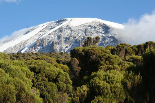 Great views of Mount Kilimanjaro