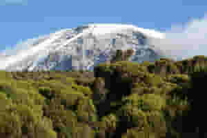 1564486359 1564486354 1564486276 great views of mount kilimanjaro