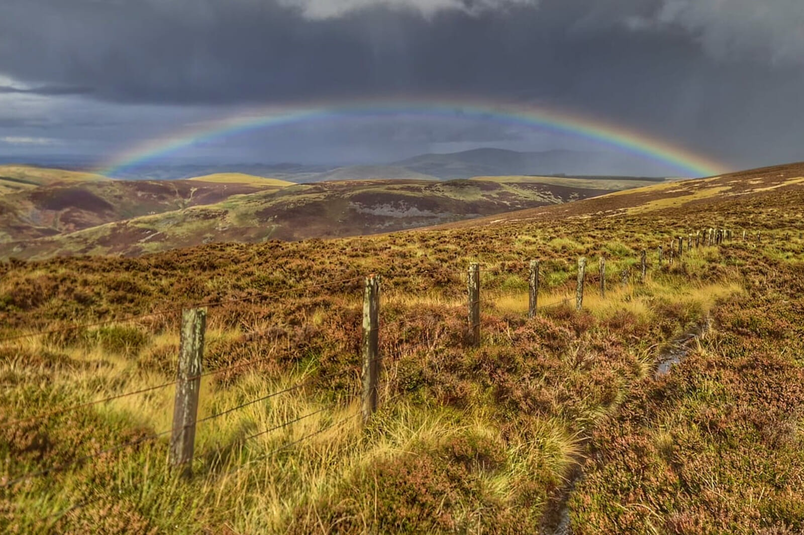 Take an epic walk through the wild Cheviots on some of the finest sections of the Pennine Way and the breathtaking upper reaches of the Coquet Valley, to finish proud!