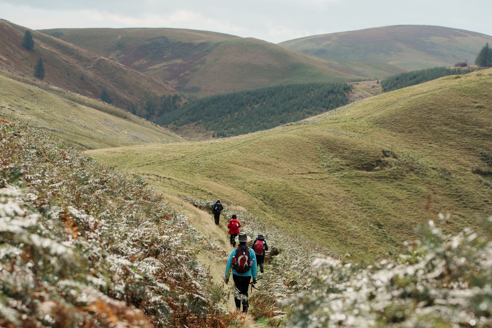 clorroecamnorthpenchall 128