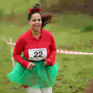 christmas pudding dash pett 2024 2 rs