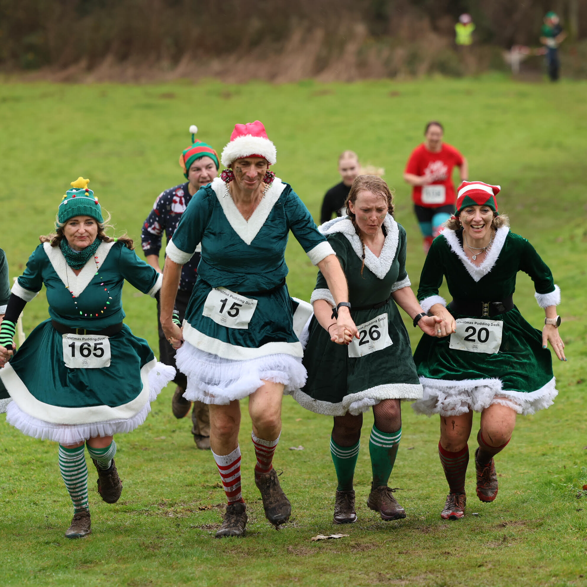 christmas pudding dash pett 2024 3 rs