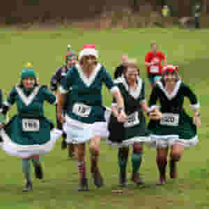 christmas pudding dash pett 2024 3 rs